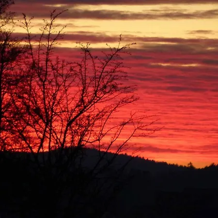 Cafe Und Ringer Guest house