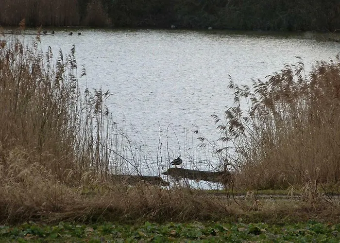 Πανσιόν Cafe Und Ringer